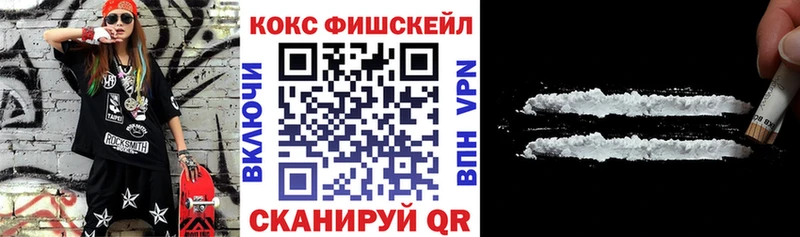 купить закладку  Тырныауз  COCAIN Fish Scale 