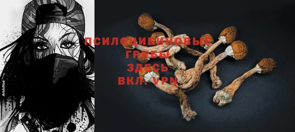 круглые Новодвинск