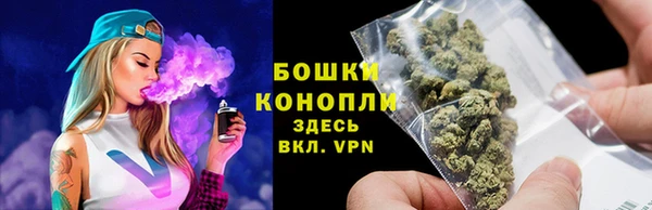 спиды Новозыбков