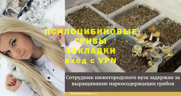 спиды Новозыбков