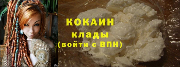 спиды Новозыбков