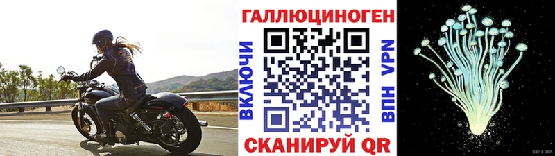 Псилоцибиновые грибы Psilocybine cubensis  маркетплейс как зайти  Тырныауз  дарнет шоп 